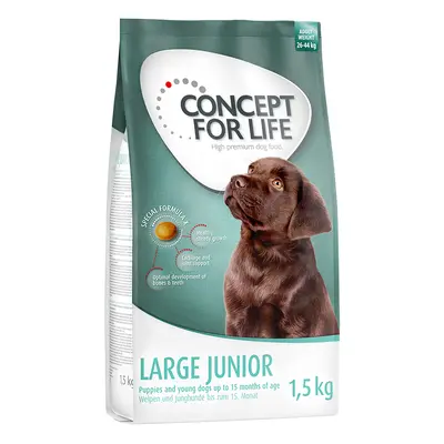 1,5kg Concept for Life Large Junior száraz kutyatáp 15% árengedménnyel