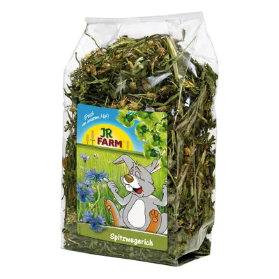 JR Farm lándzsás útifű - 500 g