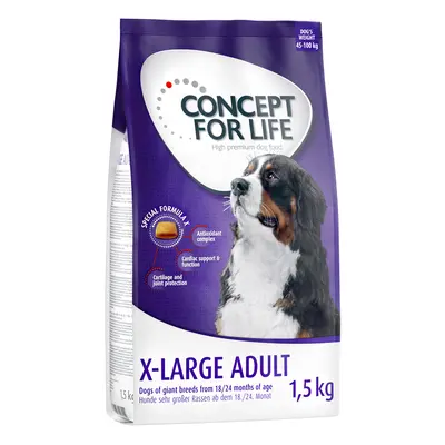 4x1,5kg Concept for Life X-Large Adult száraz kutyatáp 10% kedvezménnnyel