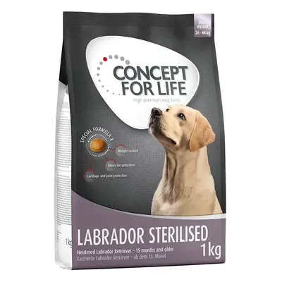 4x1kg Concept for Life Labrador Sterilised száraz kutyatáp 10% kedvezménnnyel