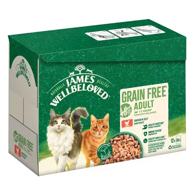 12x85g James Wellbeloved Grain Free Adult Cat Hypoallergenic csirke nedves macskatáp