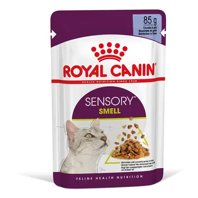 12x85g Royal Canin Sensory Smell aszpikban nedves macskatáp