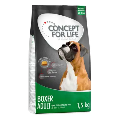 4x1,5kg Concept for Life Boxer száraz kutyatáp 10% kedvezménnnyel