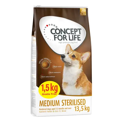 13,5kg Concept for Life Medium Sterilised száraz kuytatáp 12+1,5 kg ingyen