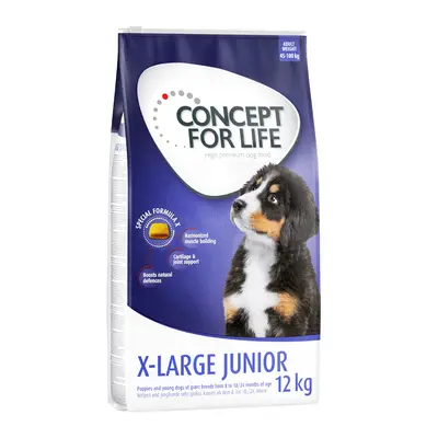 12kg Concept for Life száraz kutyatáp 15% kedvezménnyel! - X-Large Junior