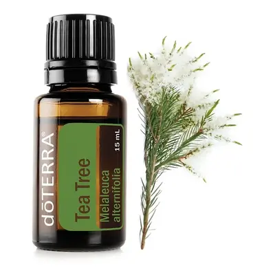 doTERRA Tea Tree Illóolaj teafa 15 ml