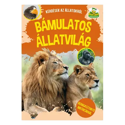 Bámulatos állatvilág