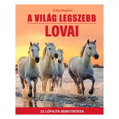 A világ legszebb lovai - 22 lófajta bemutatása