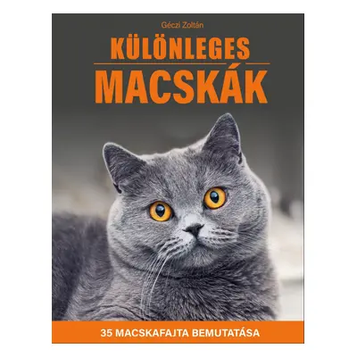 Különleges macskák - 35 macskafajta bemutatása