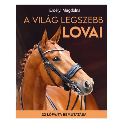 A világ legszebb lovai 22 lófajta bemutatása ÚJ