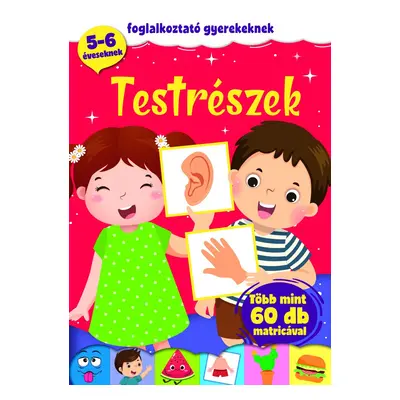 Testrészek - foglalkoztató gyerekeknek (szállítási sérült)