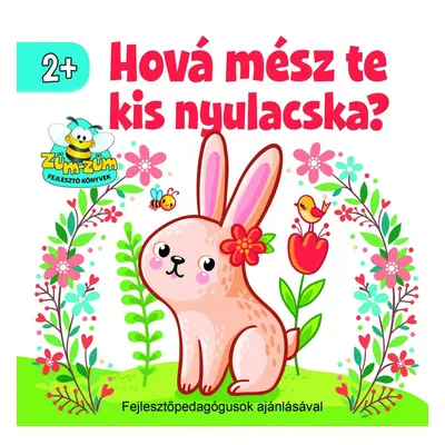 Hová mész te kis nyulacska? 2+ (kartonkönyv)