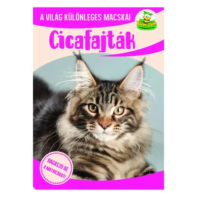 Cicafajták - A világ különleges macskái