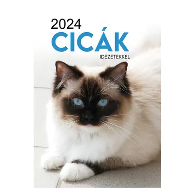 Naptár - cicák idézetekkel 2024