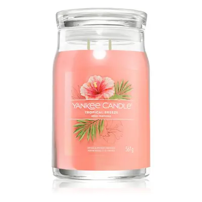 Yankee Candle Tropical Breeze illatgyertya Signature 567 g