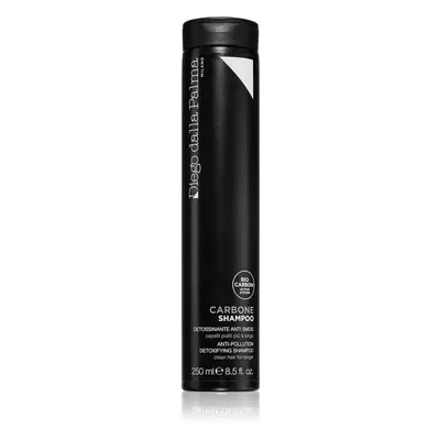 Diego dalla Palma Anti Pollution Detoxifying Shampoo Tisztító méregtelenítő sampon 250 ml