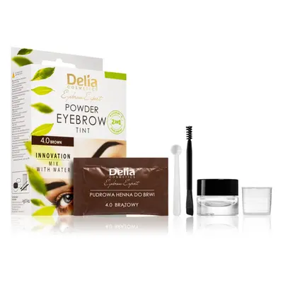 Delia Cosmetics Eyebrow Expert tonizáló szemöldökfesték árnyalat 4.0 Brown 4 g