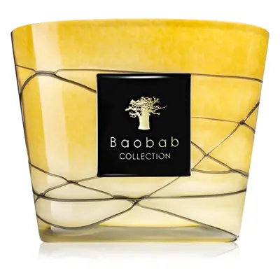 Baobab Collection Filo Oro illatgyertya 10 cm