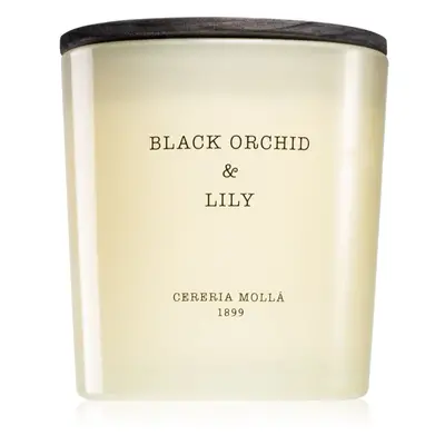 Cereria Mollá Boutique Black Orchid & Lily illatgyertya 600 ml