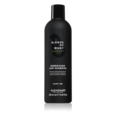 Alfaparf Milano Blends of Many Energizing energizáló sampon finom és lesimuló hajra 250 ml