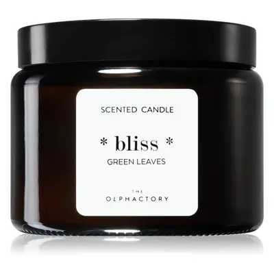 Ambientair The Olphactory Green Leaves illatgyertya Bliss 360 g