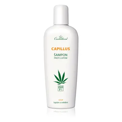 Cannaderm Capillus Anti-Dandruff Shampoo korpásodás elleni sampon kender olajjal 150 ml