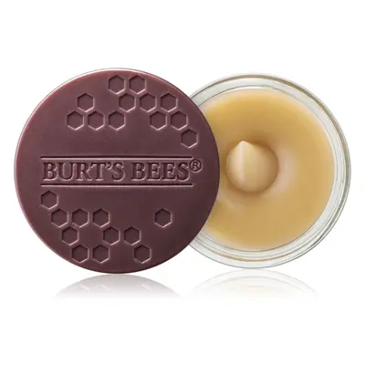 Burt’s Bees Lip Scrub szájpeeling tápláló hatással 7.08 g