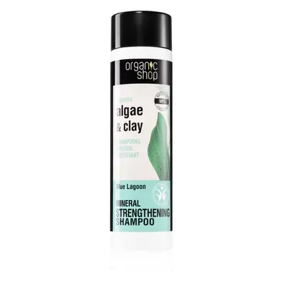 Organic Shop Organic Algae & Clay ásványi sampon a törékeny hajra 280 ml