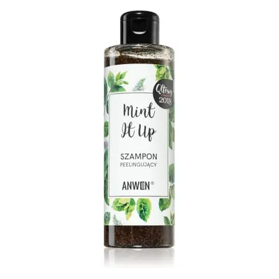 Anwen Mint It Up hámlasztó sampon 200 ml