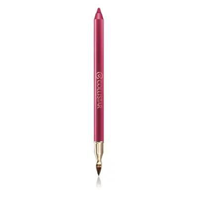 Collistar Professional Lip Pencil tartós szájceruza árnyalat 113 Autumn Berry 1,2 g