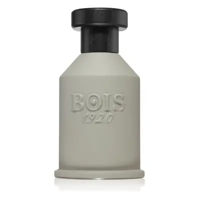 Bois 1920 Itruk Eau de Parfum unisex 100 ml