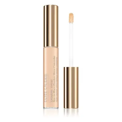 Estée Lauder Double Wear Stay-in-Place Flawless Wear Concealer tartós korrektor árnyalat 1 C Lig