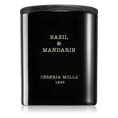 Cereria Mollá Boutique Basil & Mandarin illatgyertya 230 g