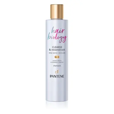 Pantene Hair Biology Cleanse & Reconstruct sampon zsíros hajra 250 ml