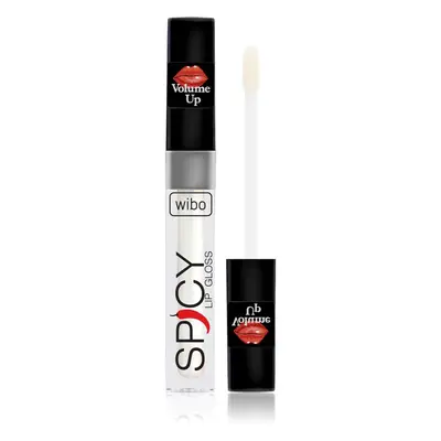 Wibo Lip Gloss Spicy dúsító ajakfény 10 3 ml