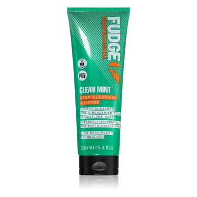 Fudge Clean Mint Shampoo tisztító sampon normál, gyorsan zsírosodó hajra 250 ml