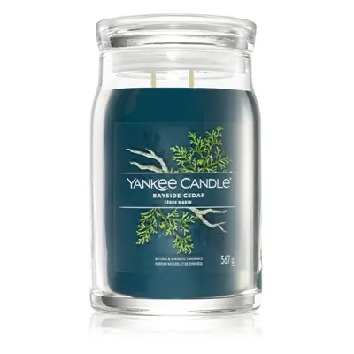 Yankee Candle Bayside Cedar illatgyertya I. Signature 567 g