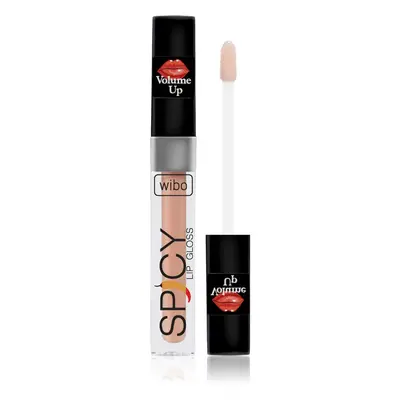 Wibo Lip Gloss Spicy dúsító ajakfény 7 3 ml