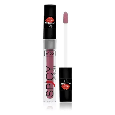 Wibo Lip Gloss Spicy dúsító ajakfény 1 3 ml