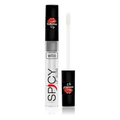 Wibo Lip Gloss Spicy dúsító ajakfény 21 3 ml