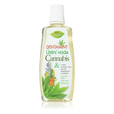 Bione Cosmetics Dentamint Cannabis szájvíz 500 ml