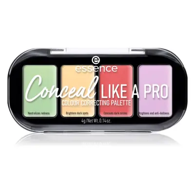 essence CONCEAL like a PRO korrektor paletta 4 g