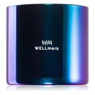 Wellmark Better Silk illatgyertya 1 db