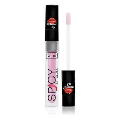 Wibo Lip Gloss Spicy dúsító ajakfény 19 3 ml