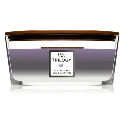 Woodwick Trilogy Amethyst Sky illatgyertya fa kanóccal (hearthwick) 453,6 g