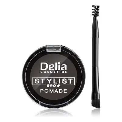 Delia Cosmetics Eyebrow Expert szemöldök pomádé árnyalat Graphite 4 g