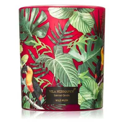 Vila Hermanos Jungletopia Wild Musk illatgyertya 200 g