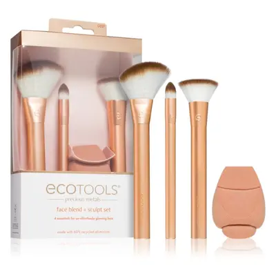 EcoTools Precious Metals ecset szett (a ragyogó bőrért)