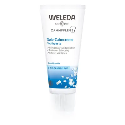 Weleda Dental Care fogkrém tengeri sóval 75 ml