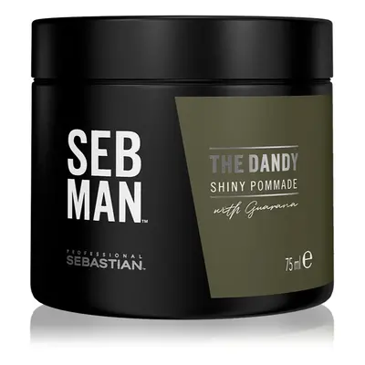 Sebastian Professional SEB MAN The Dandy hajpomádé a természetes fixálásért 75 ml